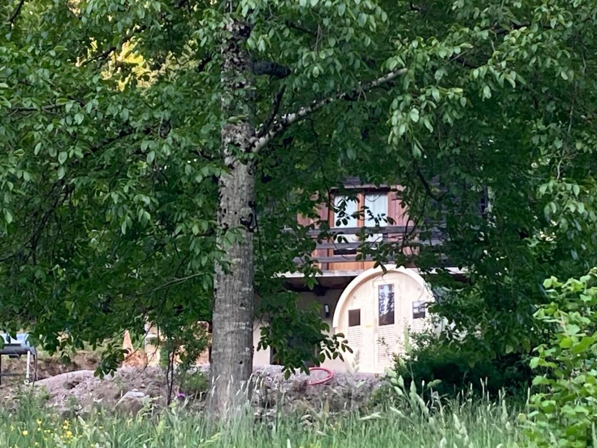 Le Chalet Du Coeur Mittlach Eksteriør bilde