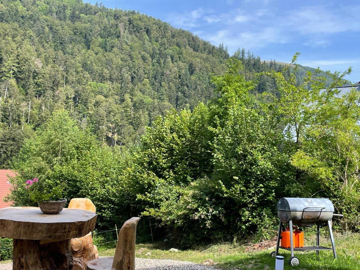 Le Chalet Du Coeur Mittlach Eksteriør bilde