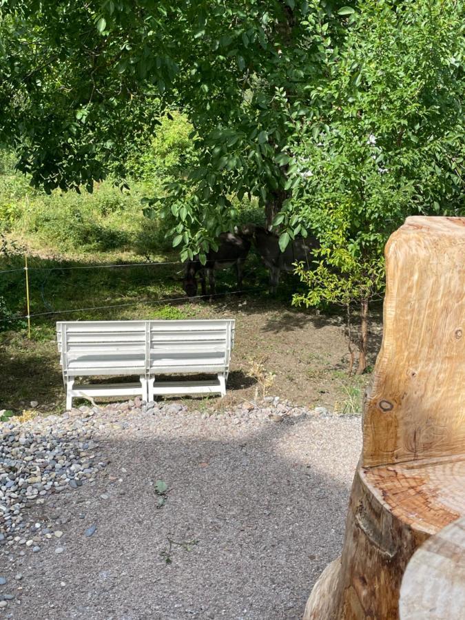 Le Chalet Du Coeur Mittlach Eksteriør bilde