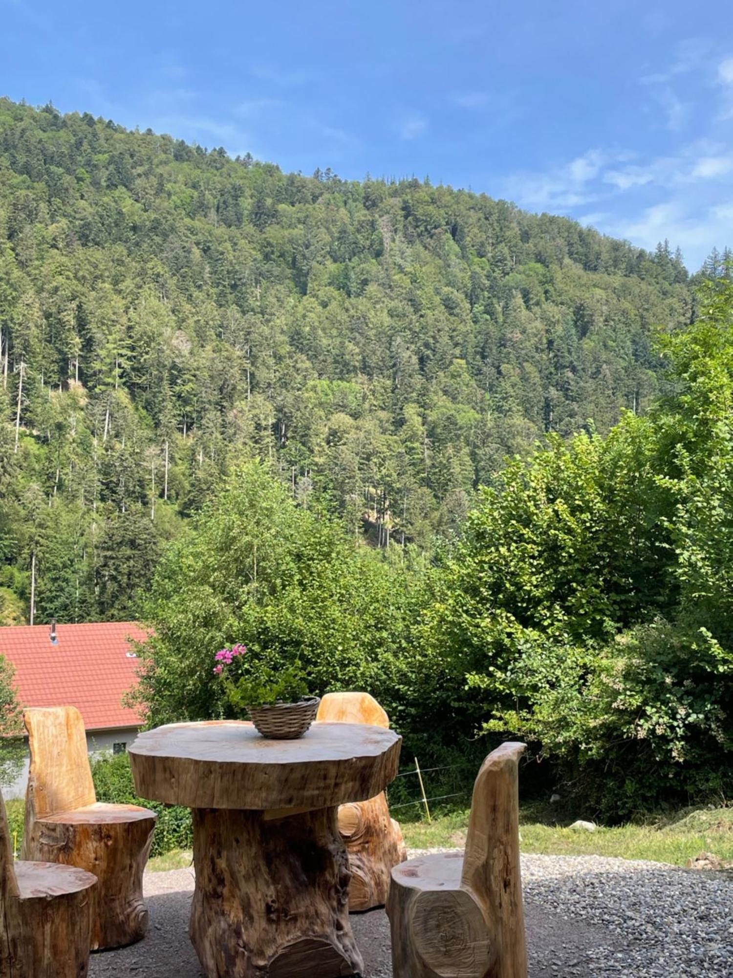 Le Chalet Du Coeur Mittlach Eksteriør bilde